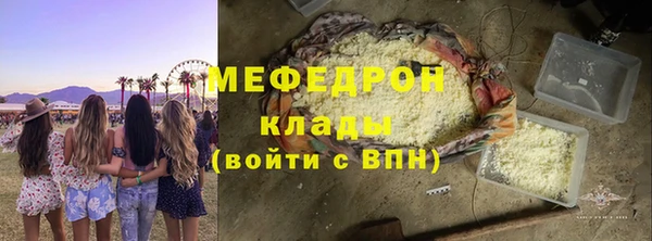 индика Белая Холуница