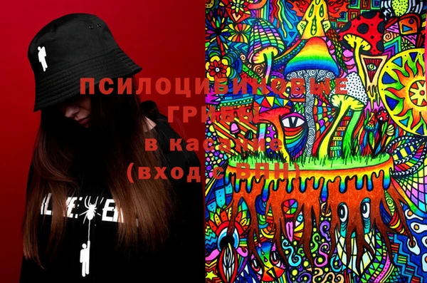 2c-b Кулебаки